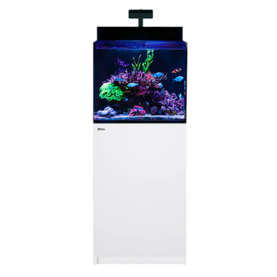 Red Sea MAX NANO G2 XL 33 gallon all-in-one reef aquarium system with white cabinet and ReefLED G2 60 light