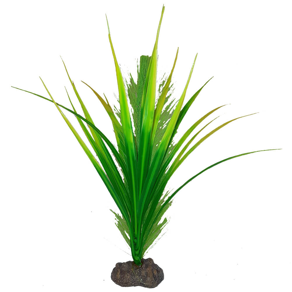 Fluval Betta Premium Yellow Parrot Plant, 8 in
