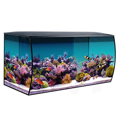 Fluval Flex 32.5 curved-glass aquarium set up as a saltwater reef with corals and clownfish