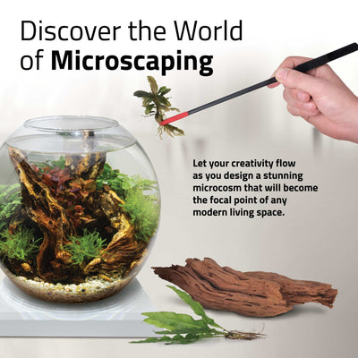 Fluval Liv microscaping panel, design a stunning planted microcosm in the round glass bowl