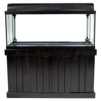 Marineland Majesty Stand Black 48 x 18