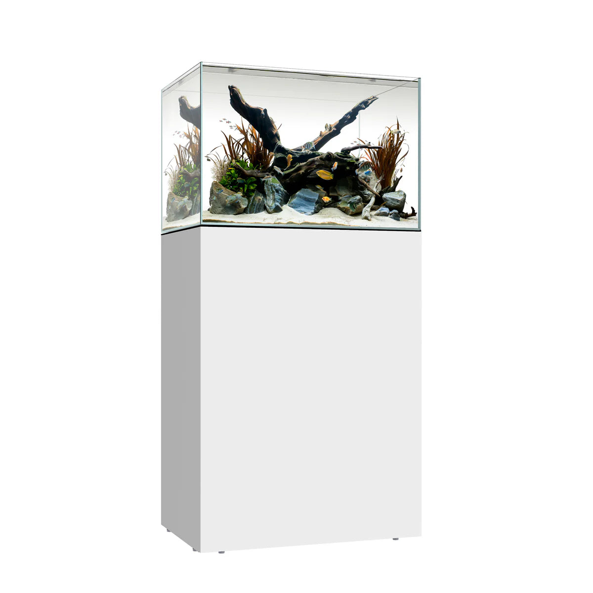 Waterbox Clear Mini 25 (White)