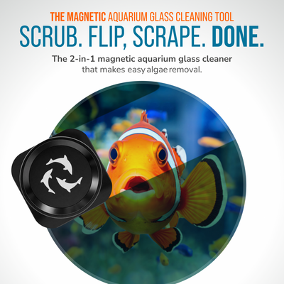 Flipper Pico scrub flip scrape magnetic aquarium cleaner