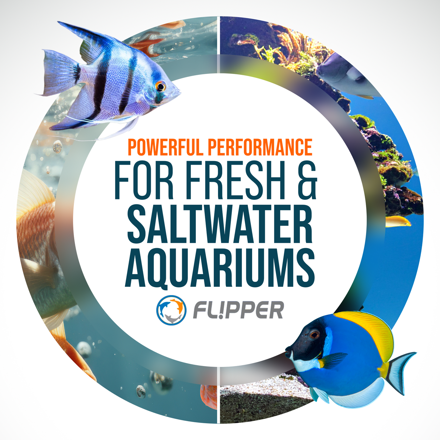 Flipper Pico for freshwater and saltwater aquariums