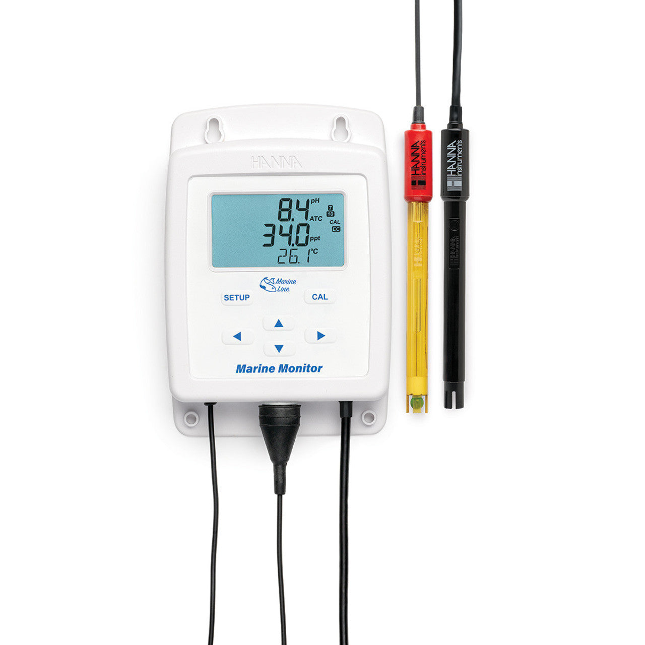 Hanna Instruments HI981520 / 981520 – Marine pH/EC/Temperature Monitor