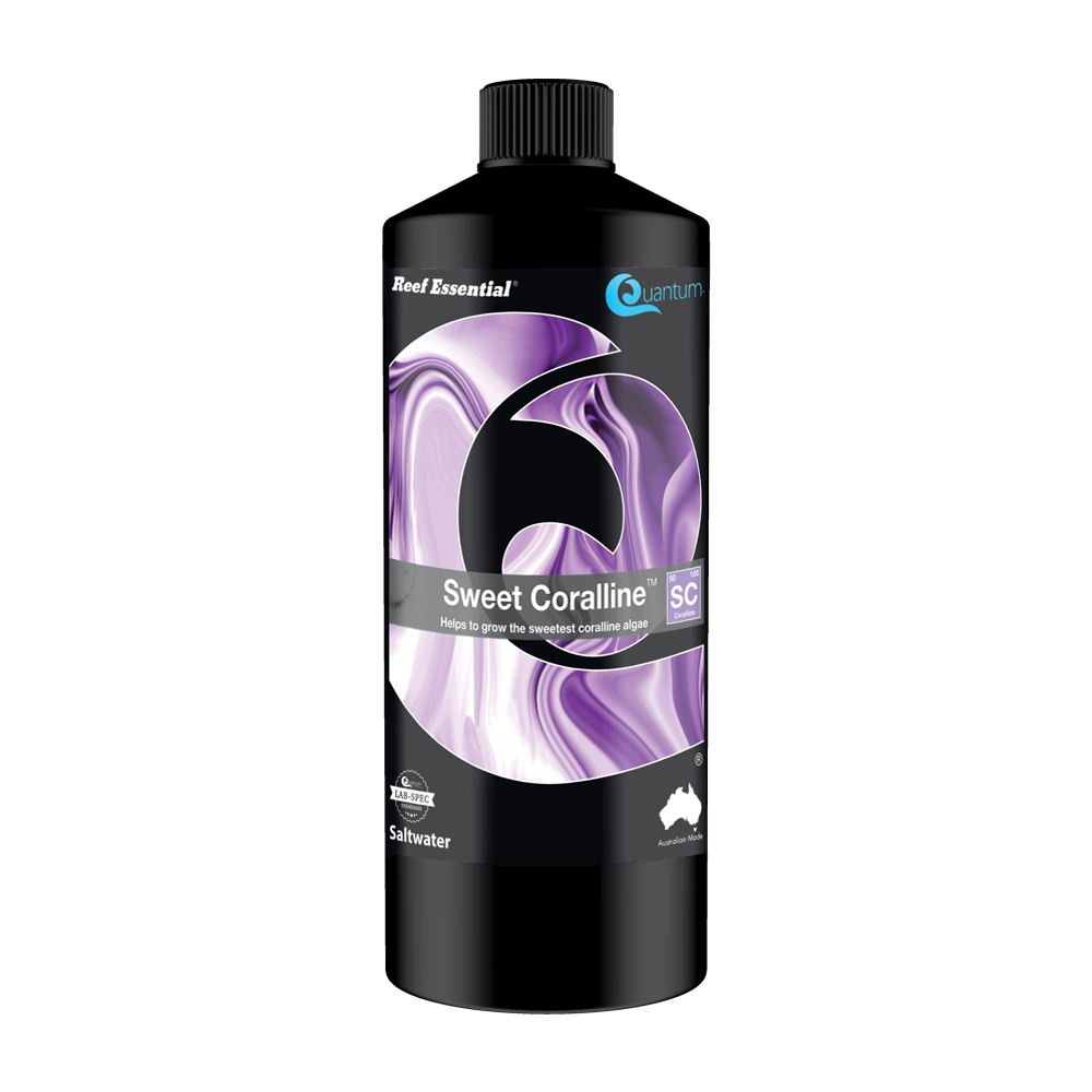 Quantum Sweet Coralline reef coralline algae growth supplement bottle