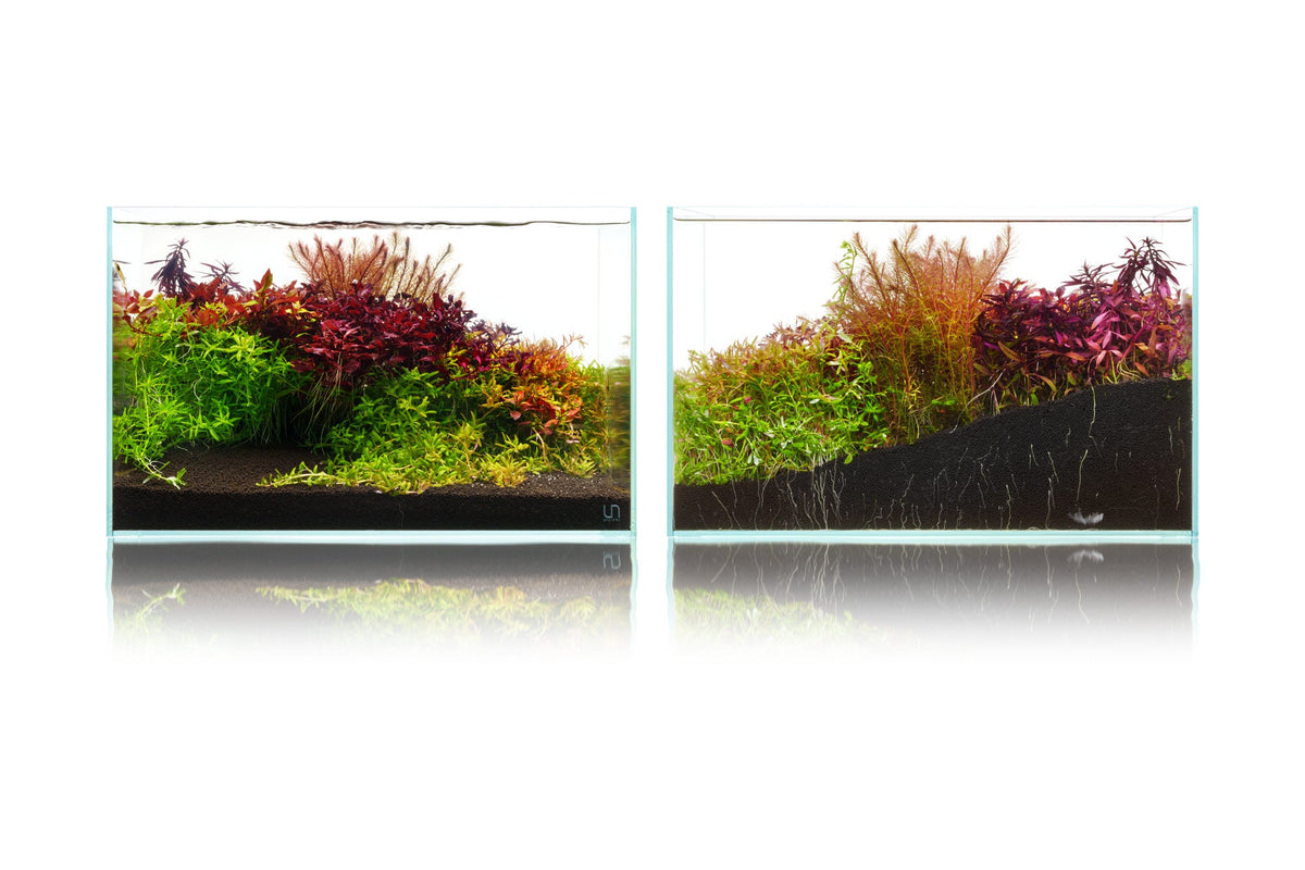 Front and back views of an eight month old planted aquarium showing the substrate bed
