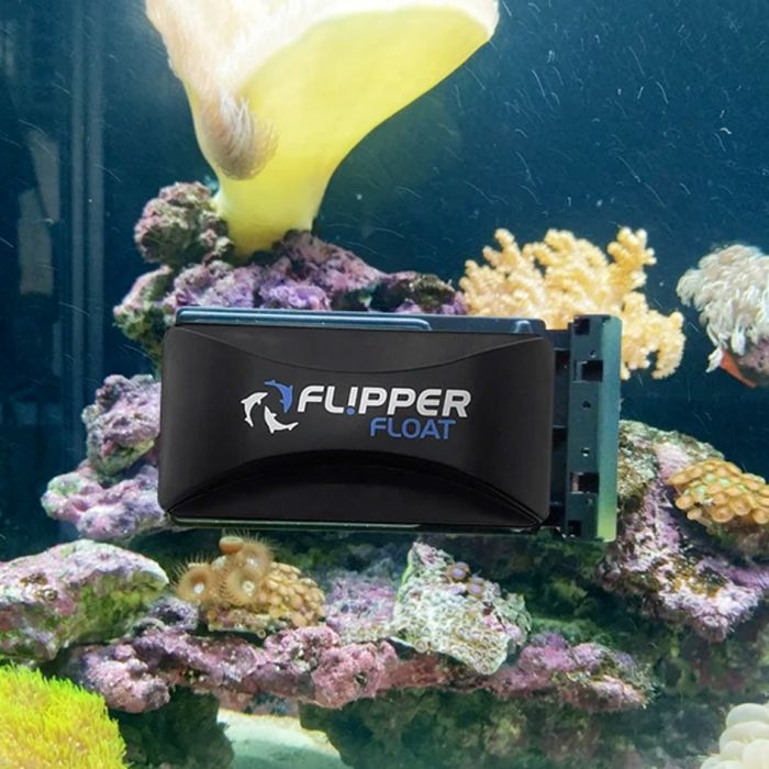 Flipper Standard Float Magnet Cleaner – Scrub, Flip, Scrape, Float