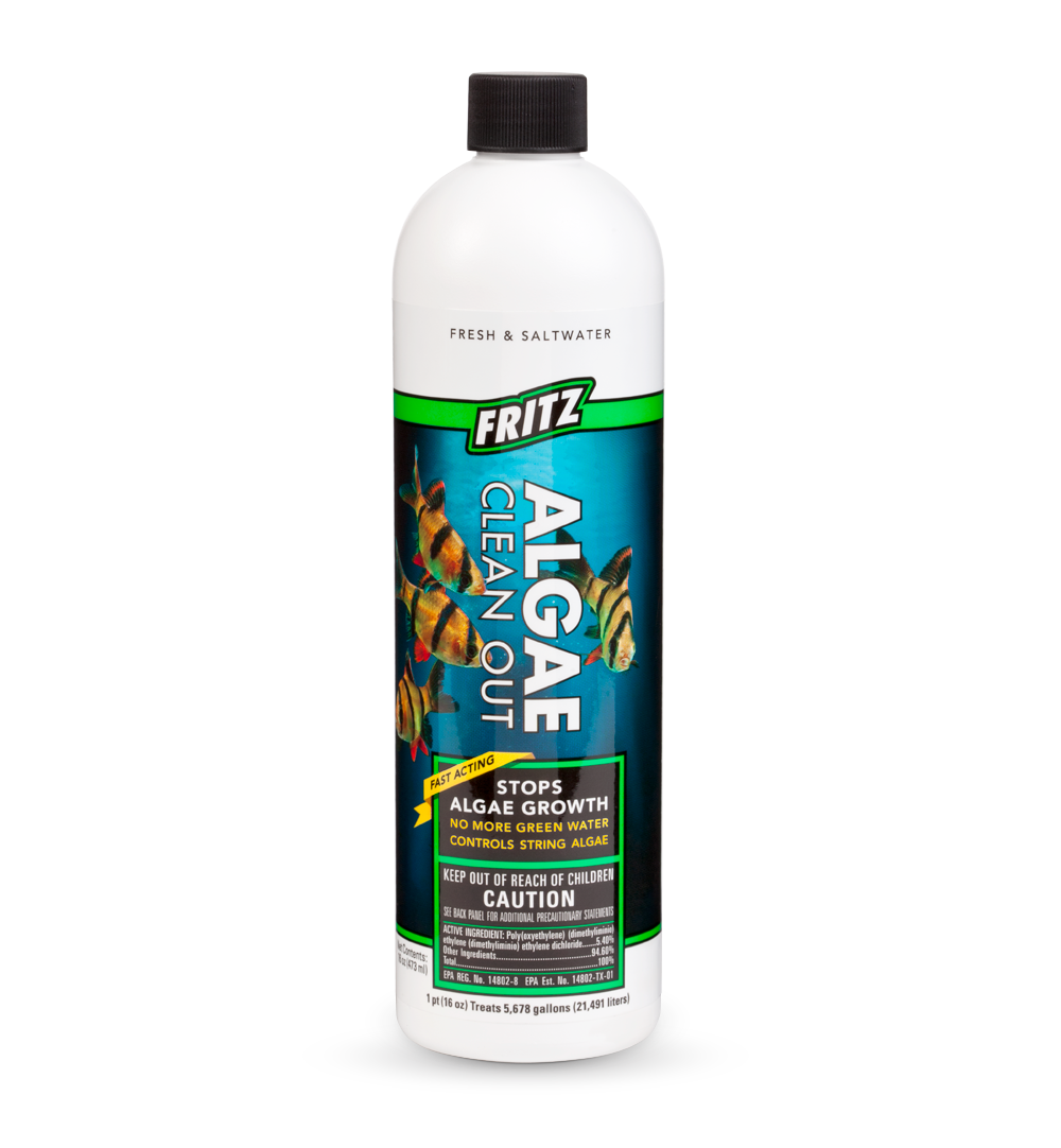 Fritz Algae Clean Out 16 oz algaecide