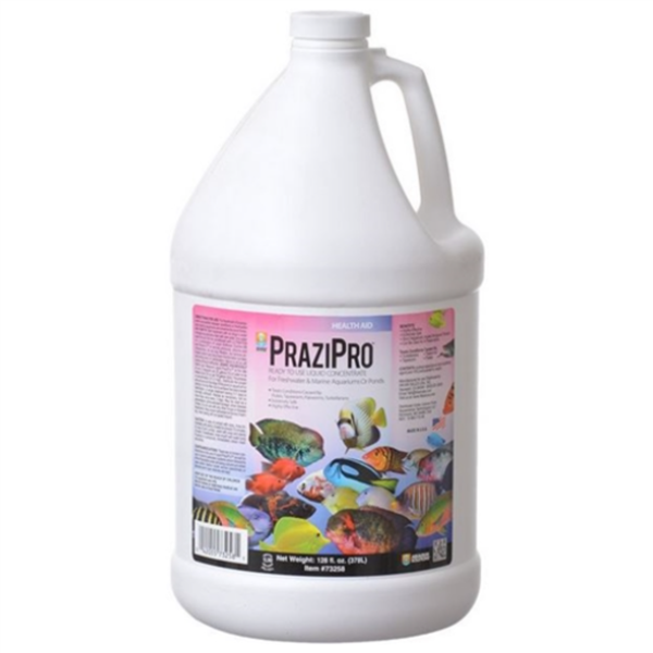 Hikari PraziPro | Liquid Praziquantel for Freshwater & Saltwater Parasites