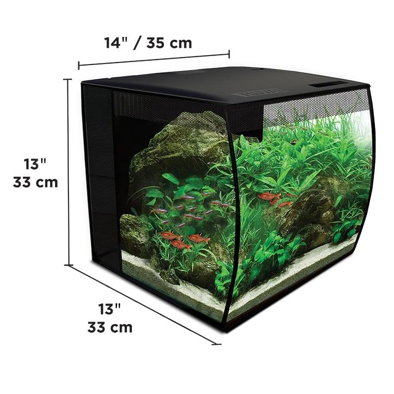 Curved glass aquarium with live plants, fish, and dimensions 14x13x13 inches