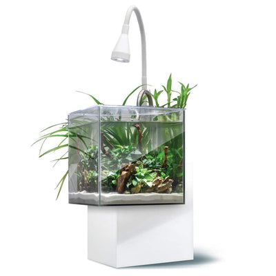 Fluval Kühl white nano aquarium with gooseneck LED lamp, planted with aquatic plants