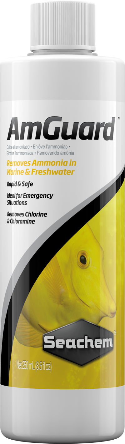 Seachem AmGuard 250mL bottle - liquid ammonia detoxifier for freshwater and saltwater aquariums