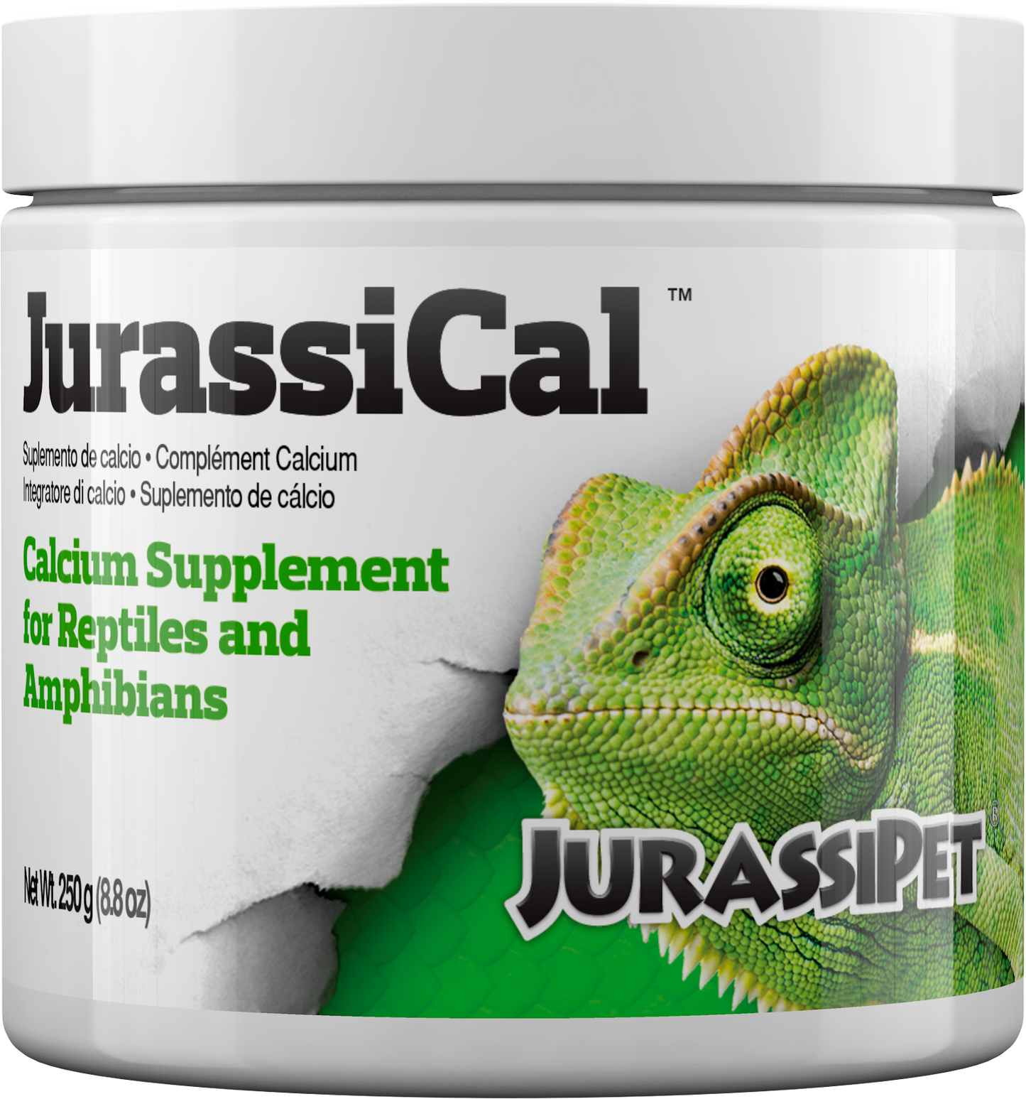 JurassiPet JurassiCal Dry 250 g jar - bulk reptile calcium dusting powder