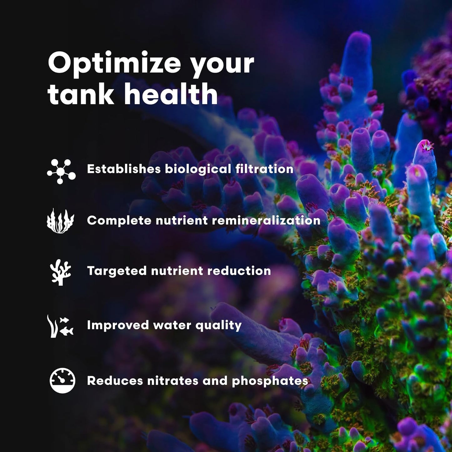 Brightwell Aquatics MicroBacter7 – Complete Bioculture – 250 ml