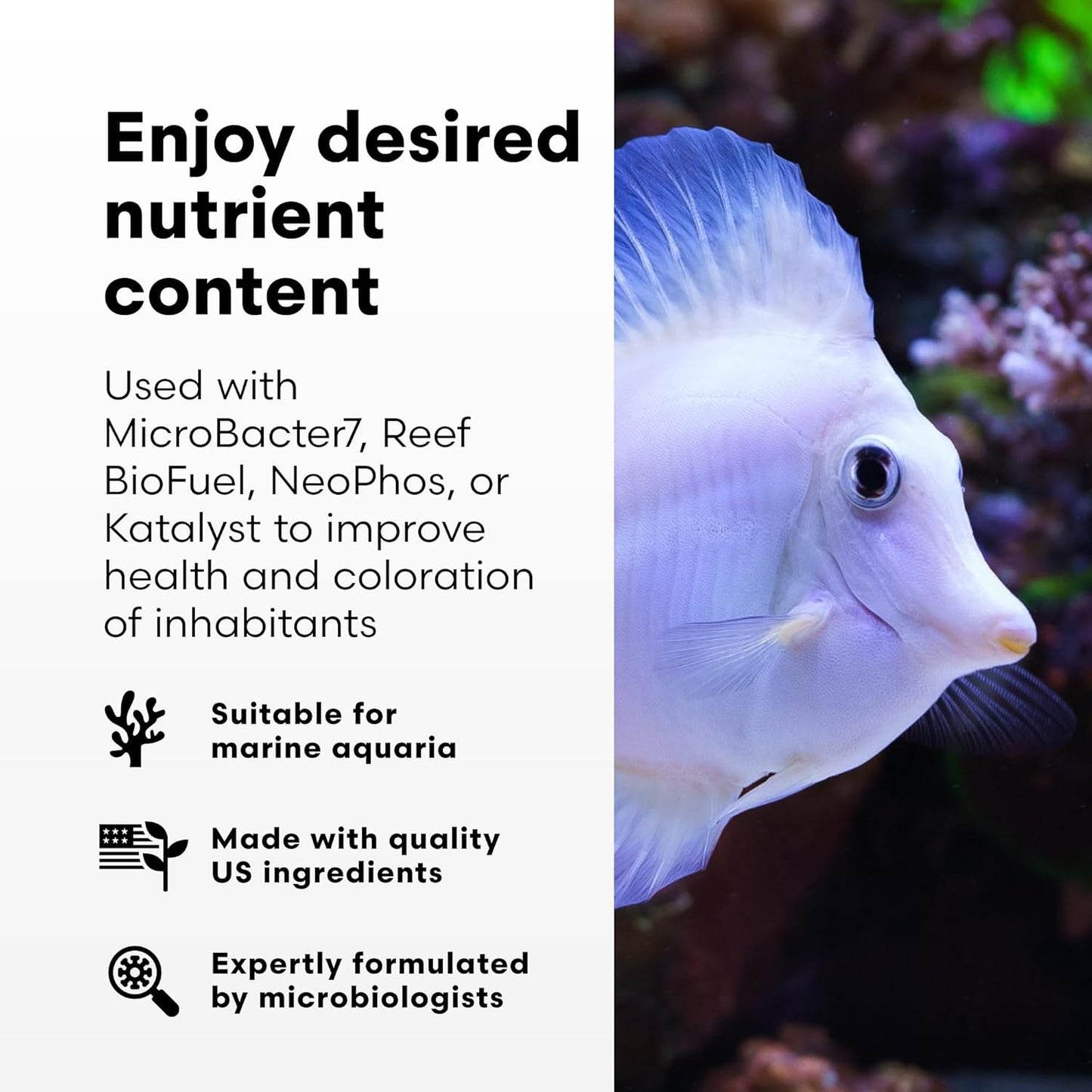 Brightwell Aquatics NeoNitro – Balanced Nitrogen Supplement – 250 mL