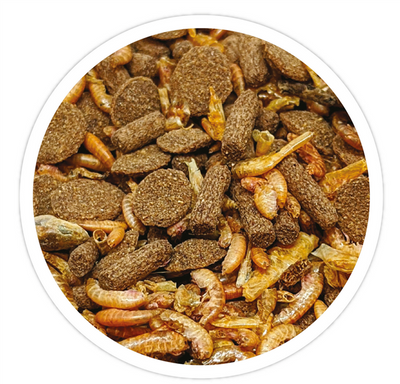 Close up of Reptile Systems Turtle Mix, whole dried fish, shrimp, and fortified sticks for turtles