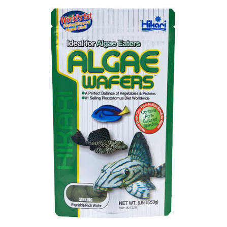 Hikari Algae Wafers pack, sinking wafers for algae eaters