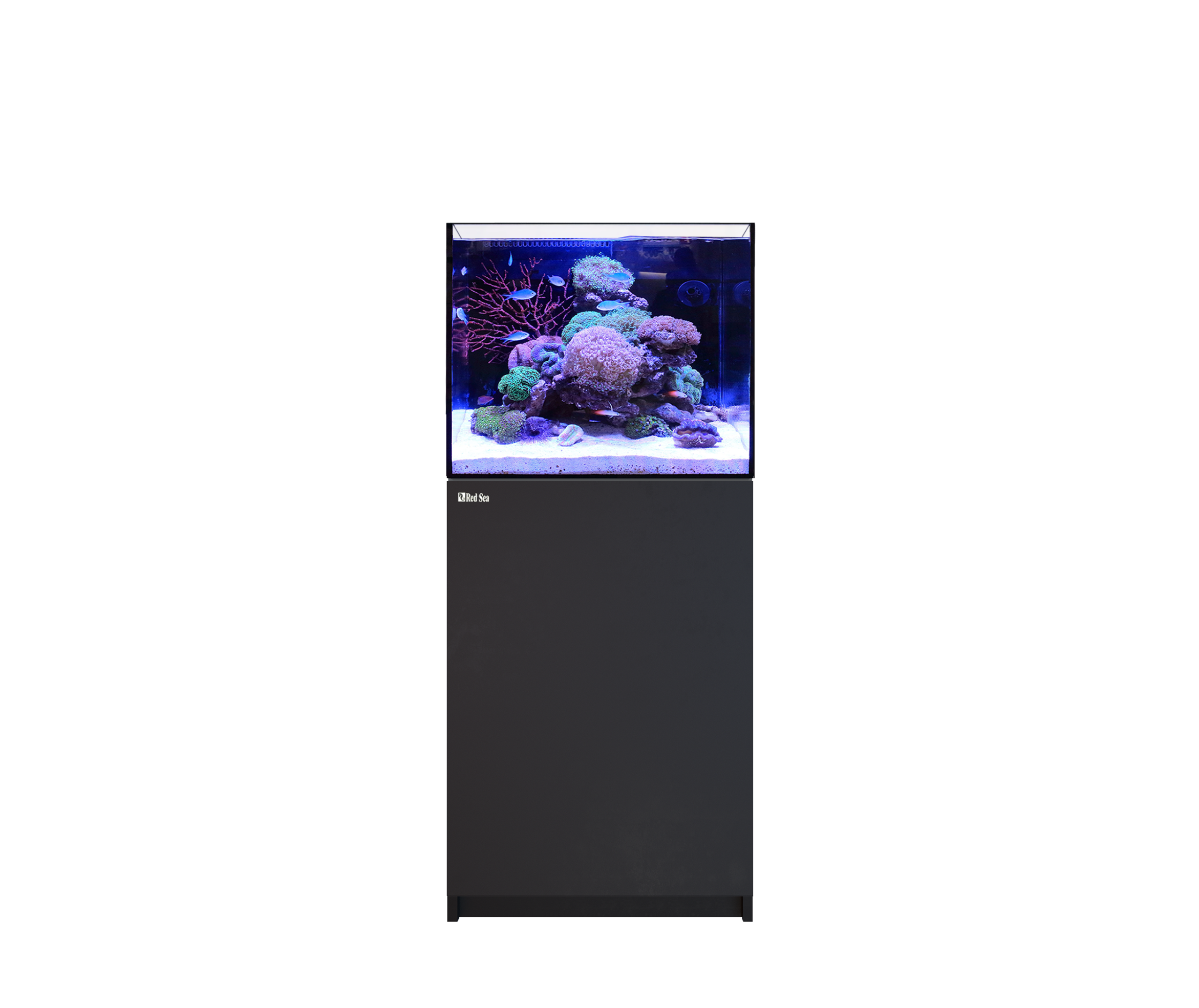 Red Sea REEFER 170 G3 Aquarium System (33 Gal) | Reef – Squeaky's
