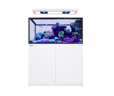 Red Sea REEFER Peninsula 500 G3 Deluxe (2x ReefLED 170) - White cabinet