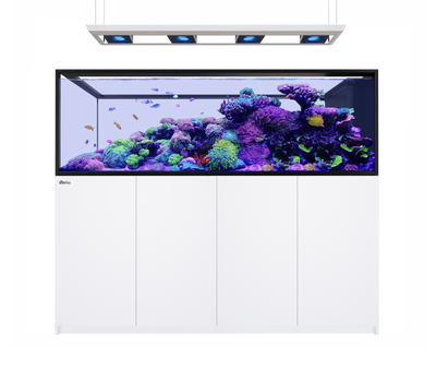 Red Sea REEFER Peninsula S-950 G3 Deluxe - White cabinet