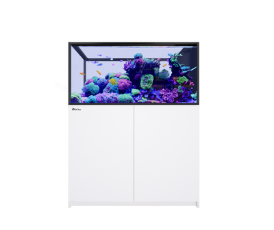 Red Sea REEFER Peninsula 500 G3+ aquarium system with white cabinet