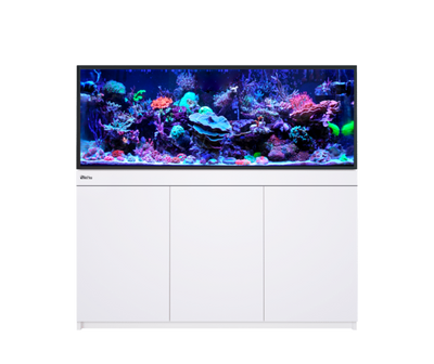 Red Sea REEF-FRAME 500 Aquarium System (107 Gal) with White cabinet
