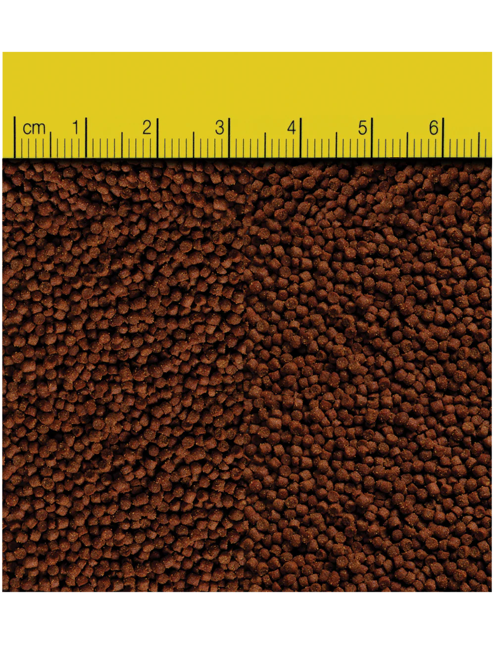 Reef Nutrition – TDO-EP1 Chroma BOOST Medium Pellet Fish Food – 3 oz