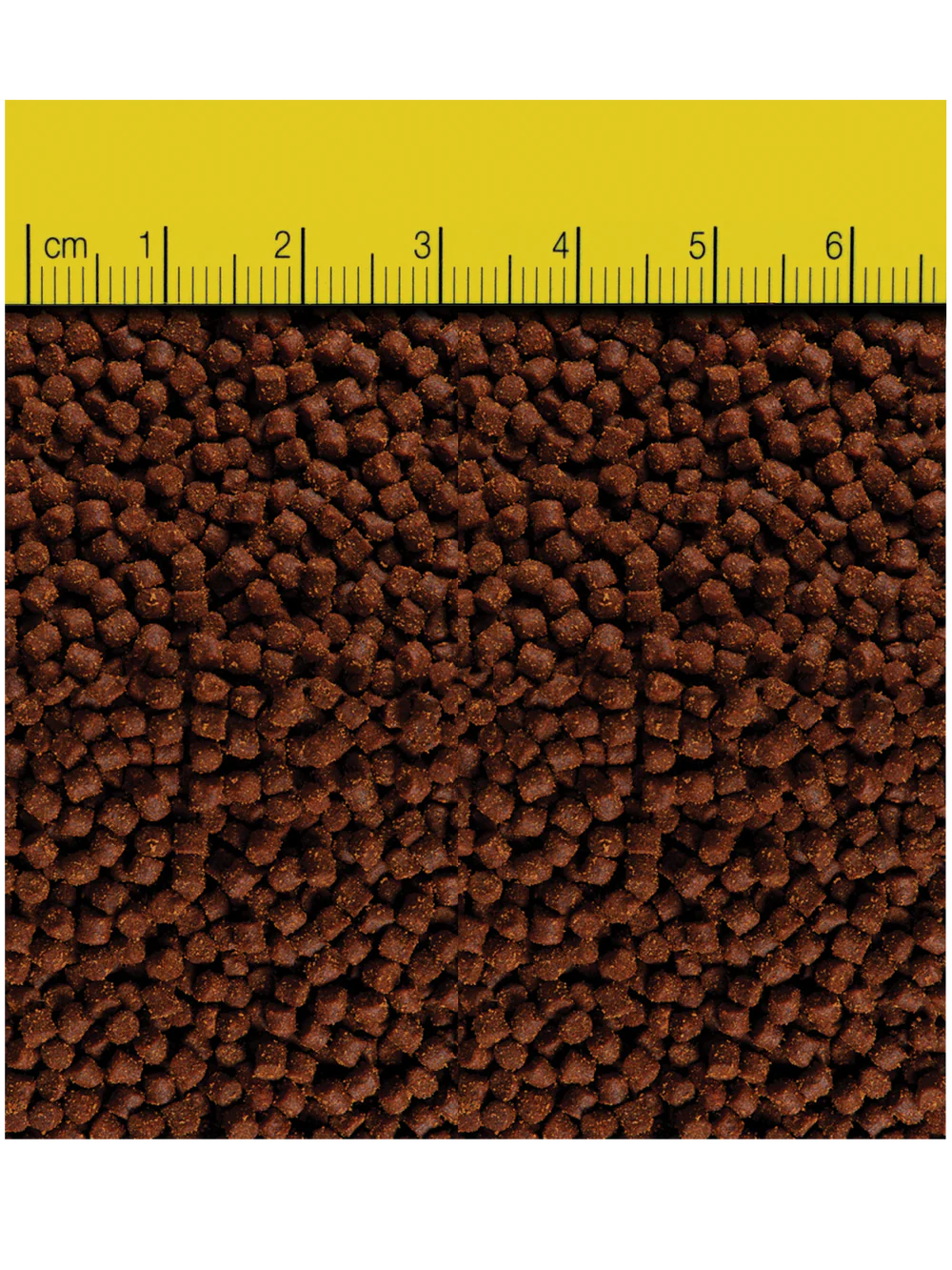 Reef Nutrition – TDO-EP2 Chroma BOOST Large Pellet Fish Food – 3 oz