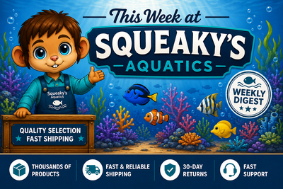 This Week at Squeaky's Aquatics: August 22, 2026