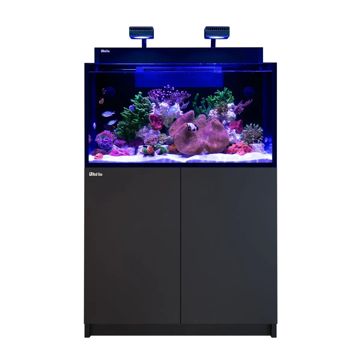 Red Sea MAX NANO G2 XXL 53-gallon all-in-one reef aquarium system with black cabinet and dual ReefLED 50 lights