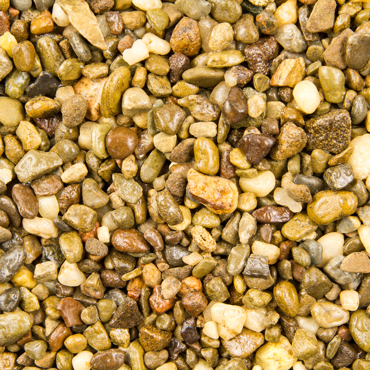 Estes Deep River natural aquarium gravel, a close-up of tan, brown, and gray river pebbles