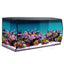 Fluval Flex 32.5 curved-glass aquarium set up as a saltwater reef with corals and clownfish