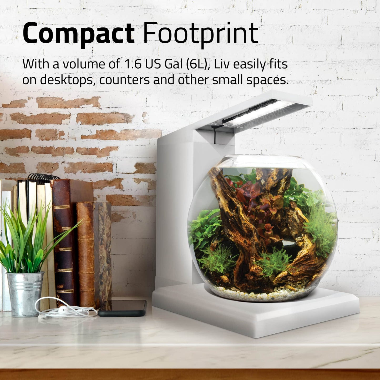Fluval Liv compact footprint panel, the 1.6 gallon bowl on a desktop shelf beside books