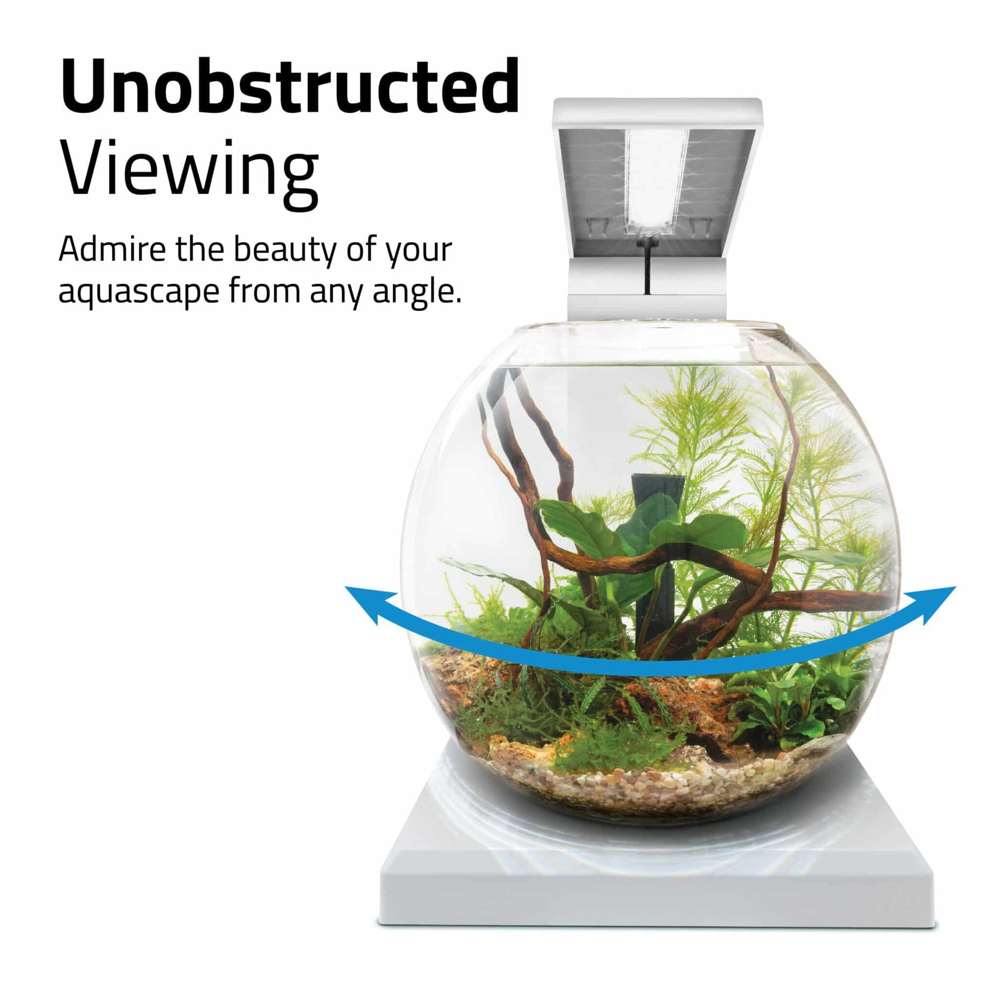 Fluval Liv unobstructed viewing panel, admire the round bowl aquascape from any angle