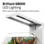Fluval Liv 6800K LED lighting panel, mimics natural sunlight to support live plant growth
