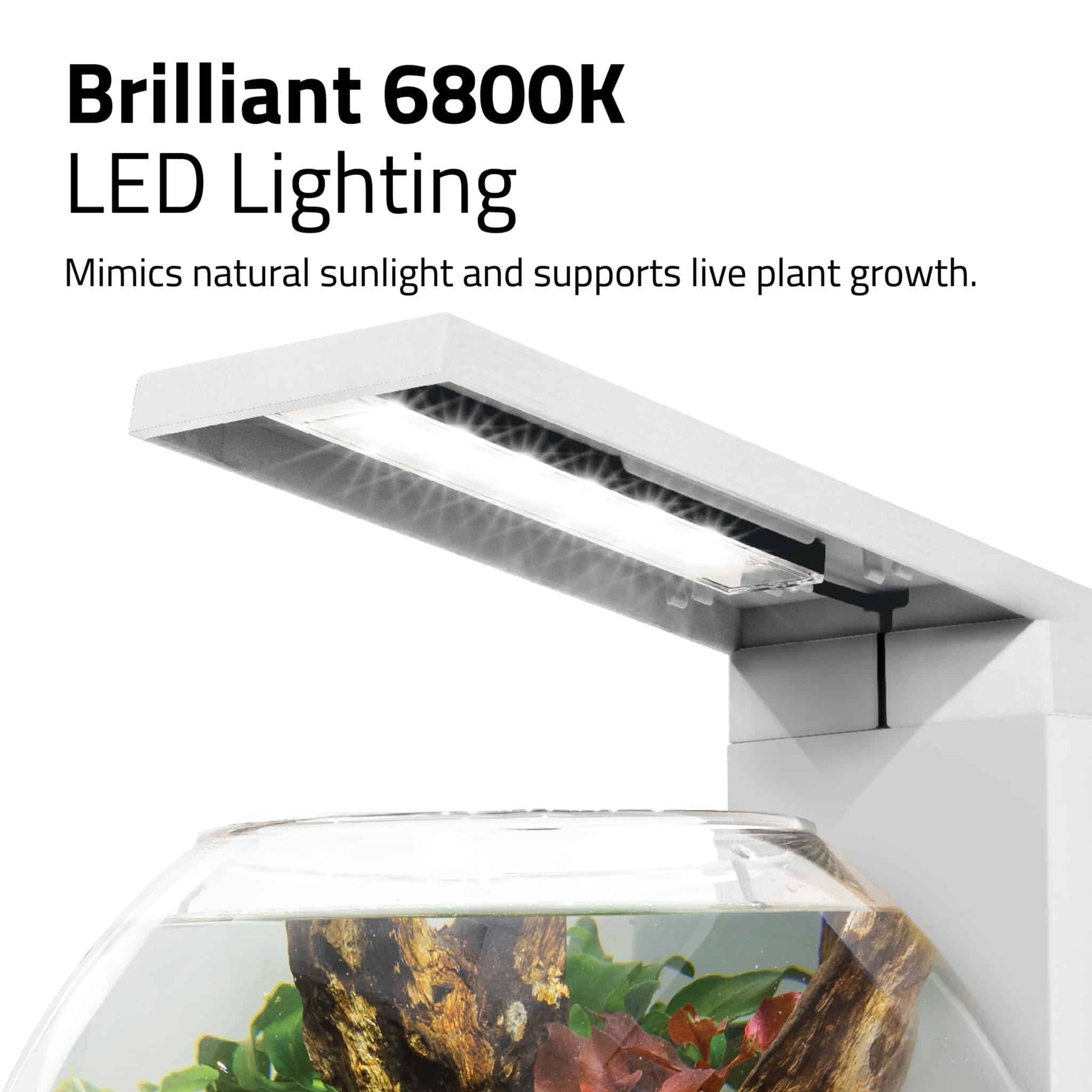 Fluval Liv 6800K LED lighting panel, mimics natural sunlight to support live plant growth