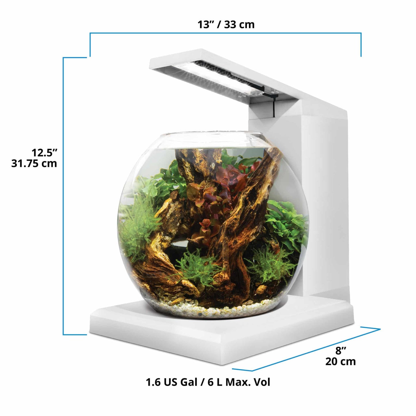 Fluval Liv dimensions diagram, 13 x 8 inch footprint, 12.5 inches tall, 6 L / 1.6 gallon capacity