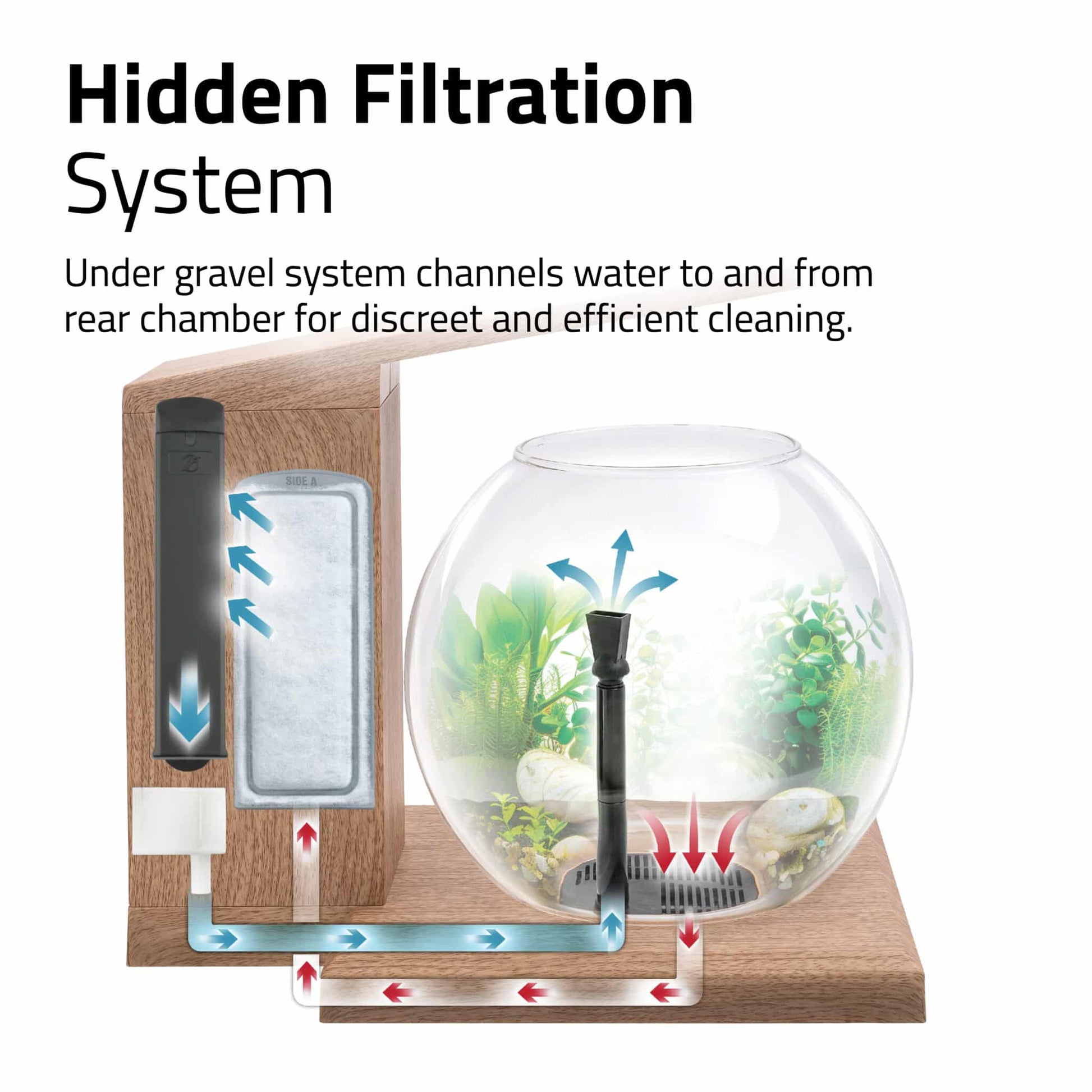Fluval Liv hidden filtration diagram with teak base, under-gravel system channels water to a rear chamber