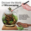 Fluval Liv microscaping panel with the teak bowl, design a stunning planted microcosm
