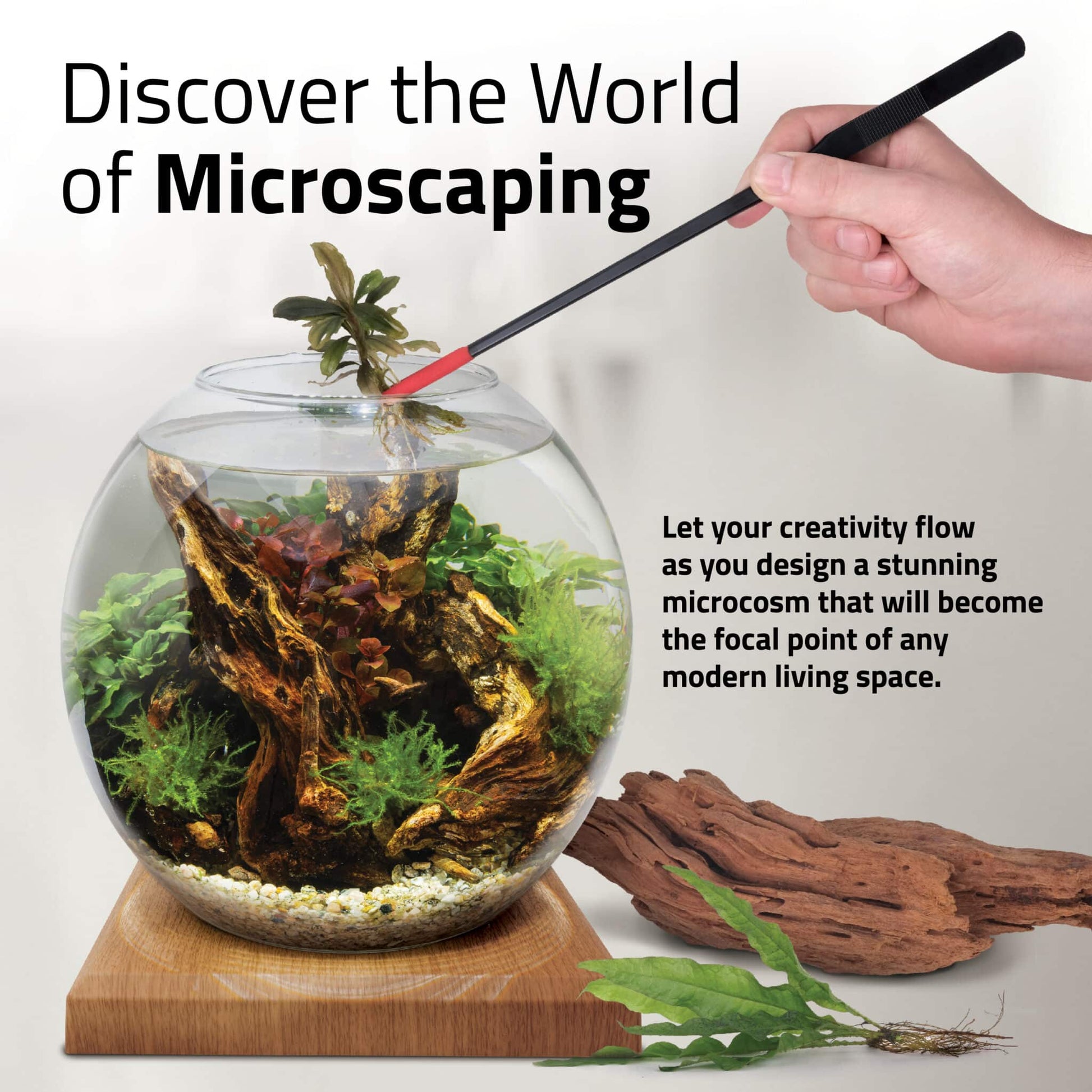 Fluval Liv microscaping panel with the teak bowl, design a stunning planted microcosm