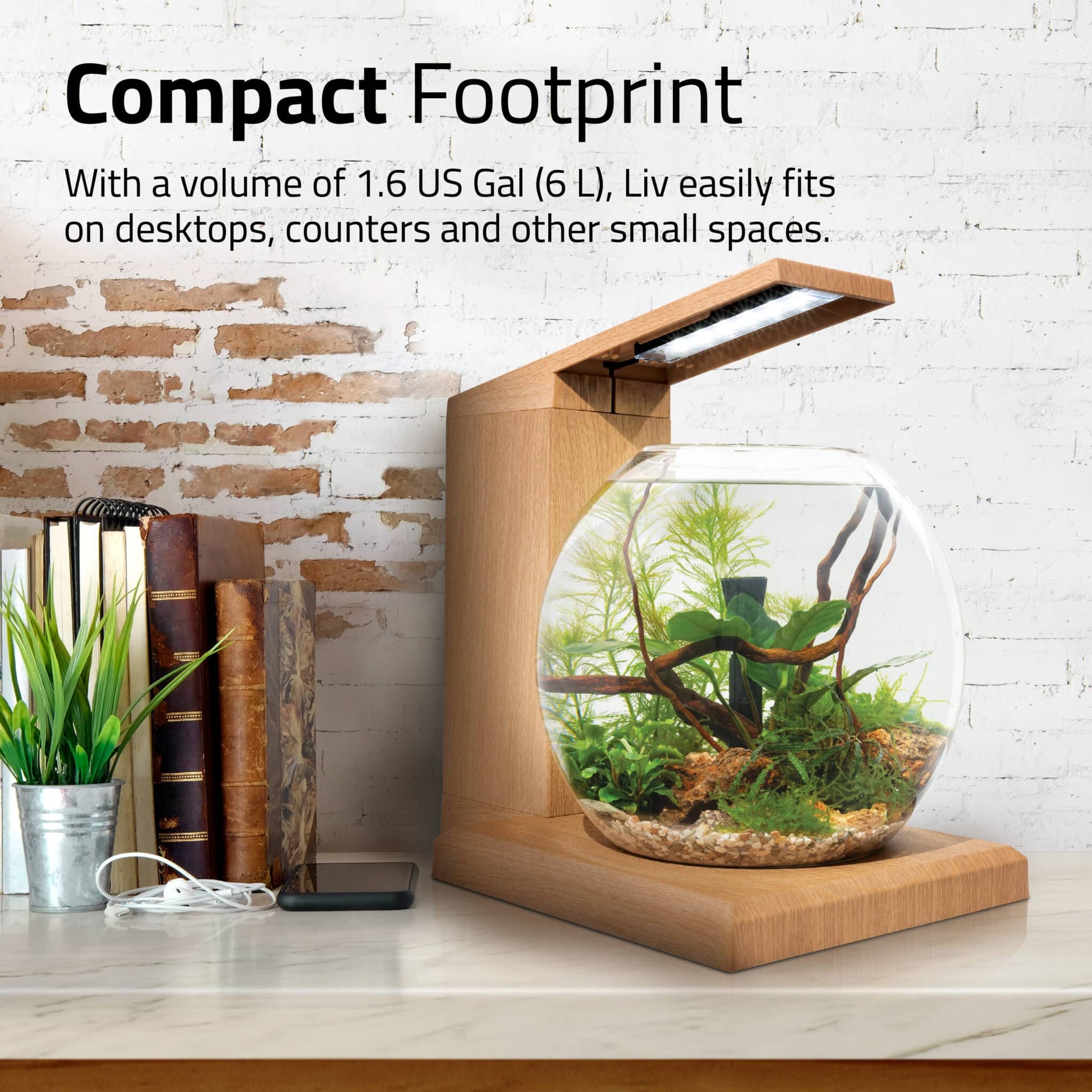 Fluval Liv compact footprint panel, the teak 1.6 gallon bowl on a desktop shelf beside books