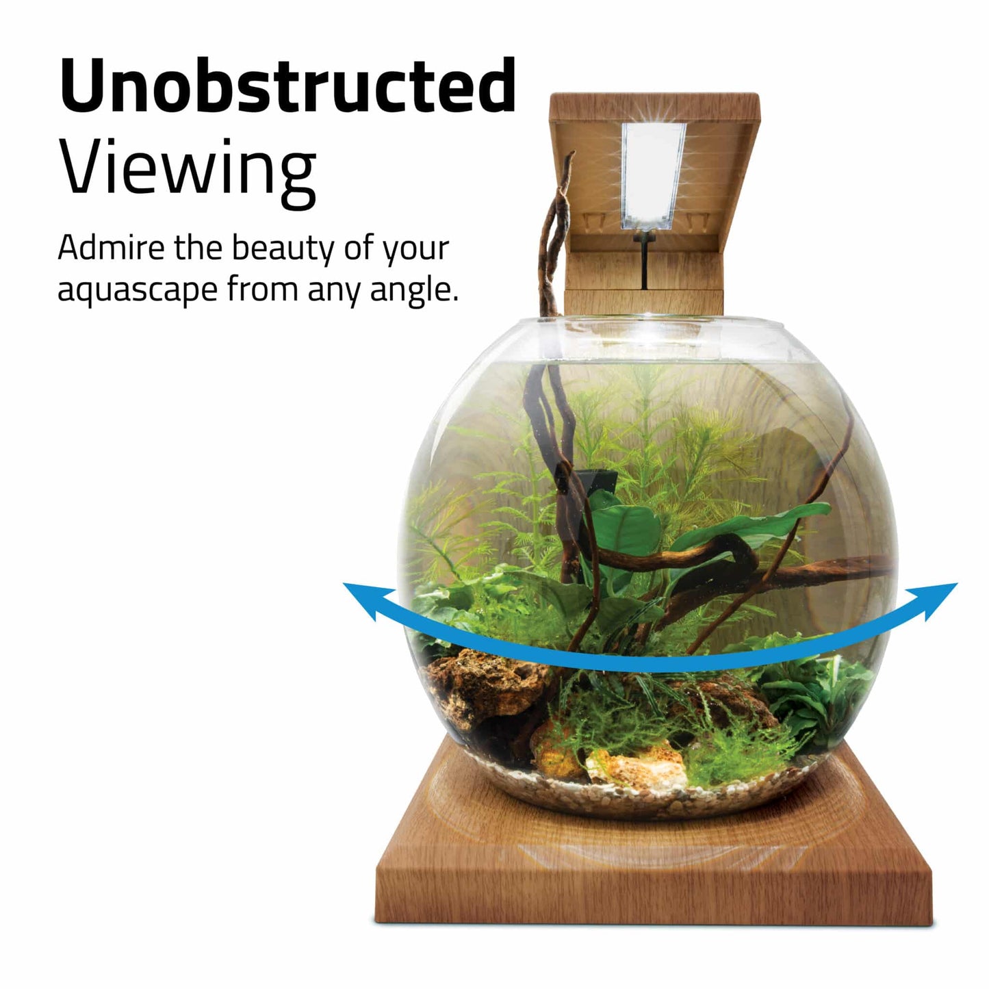 Fluval Liv unobstructed viewing panel with teak base, admire the round bowl aquascape from any angle