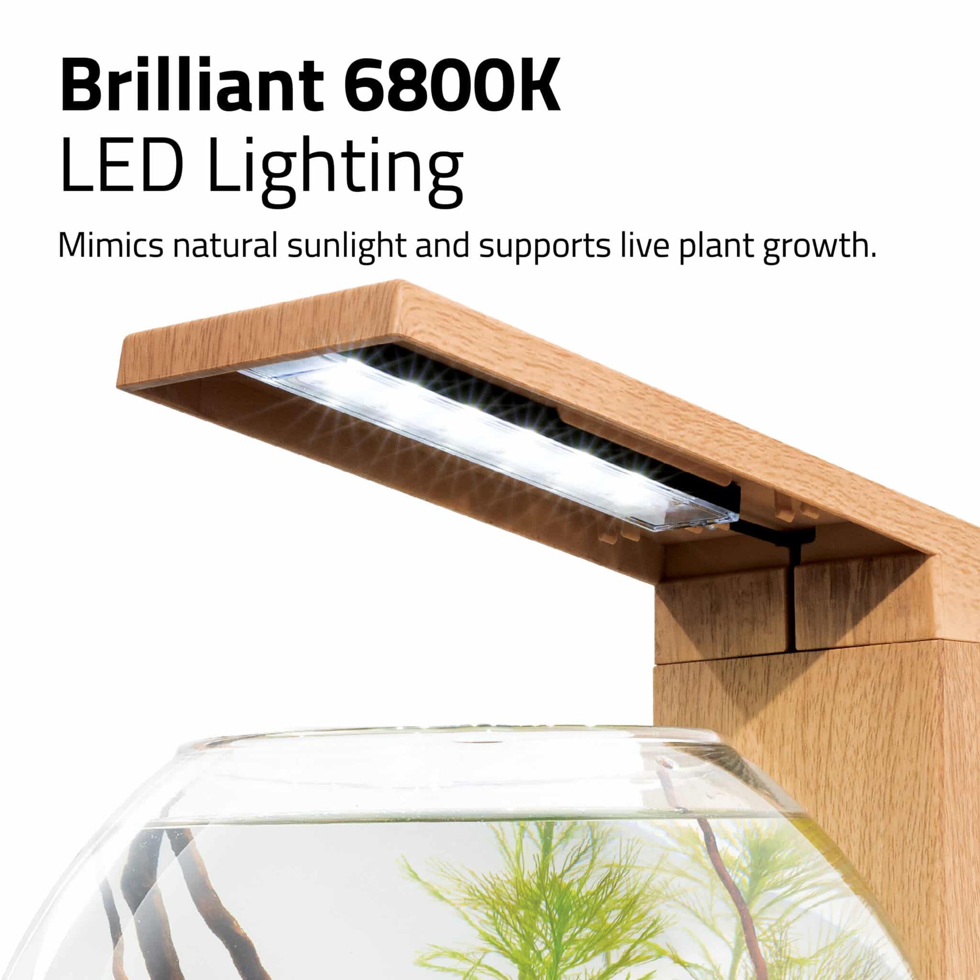 Fluval Liv 6800K LED lighting panel with teak base, mimics natural sunlight for plant growth