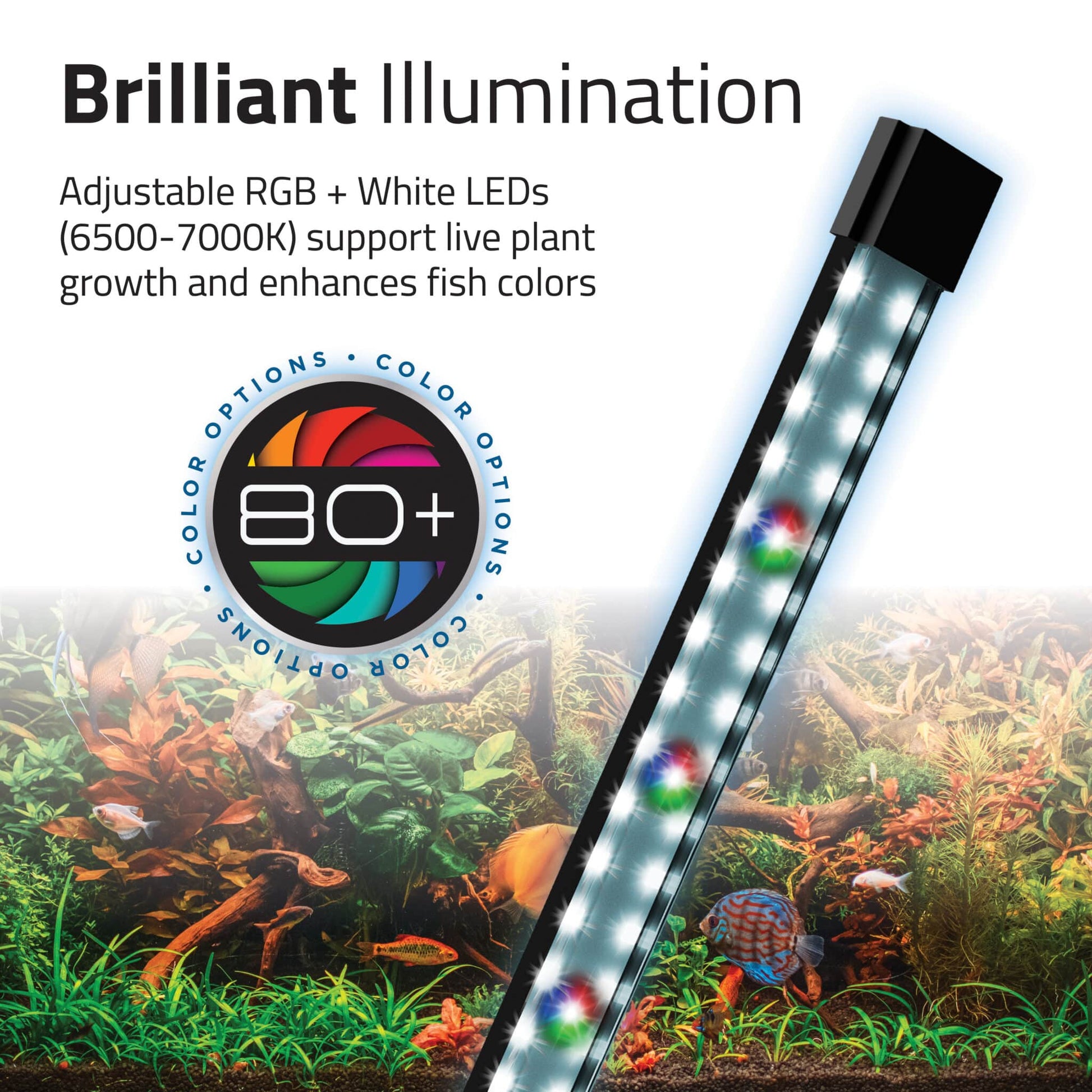 Fluval Flex 2.0 LED bar over a planted aquarium, adjustable RGB and white LEDs at 6500 to 7000 K with 80 plus color options