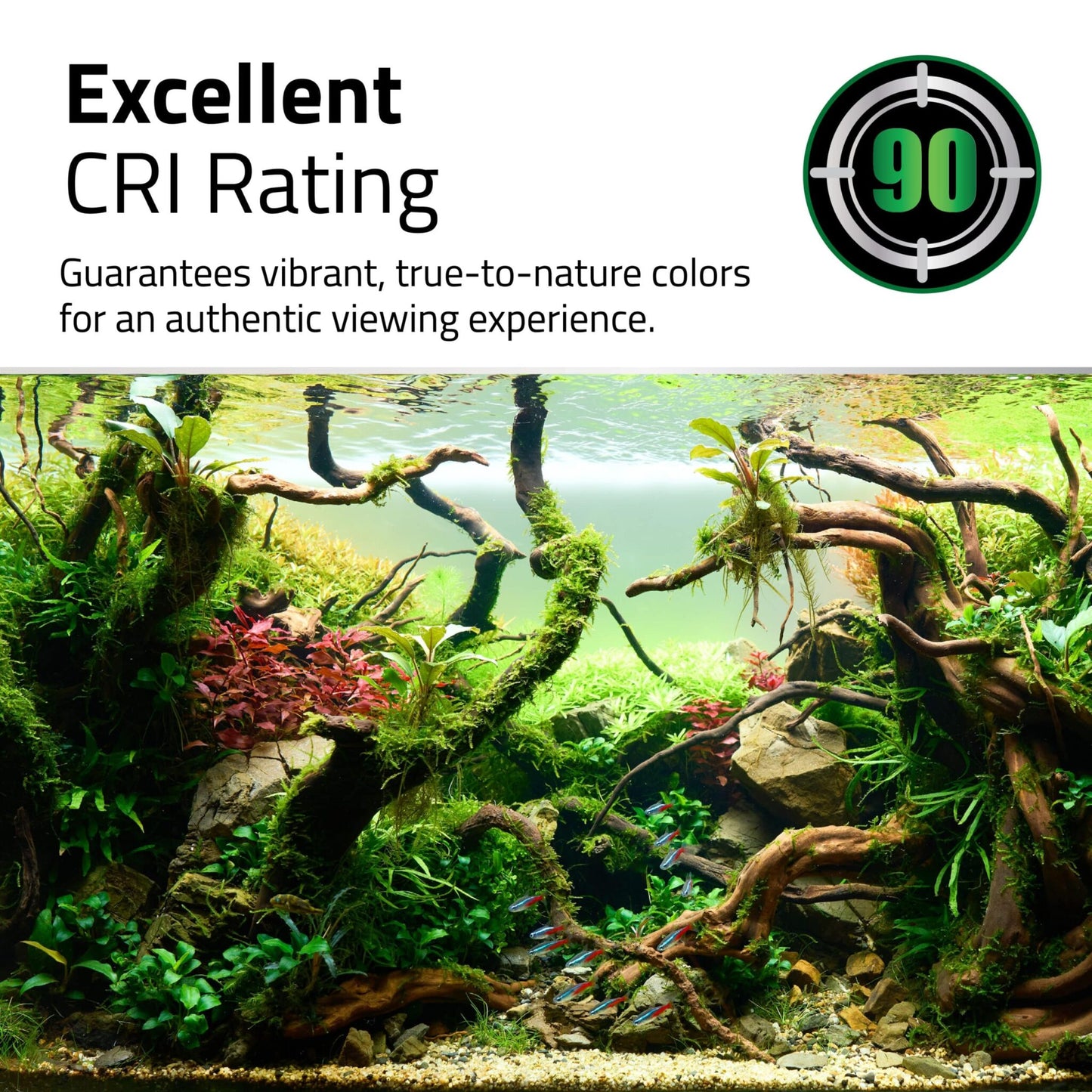 Fluval Plant 4.0 Aquarium LED Lights
