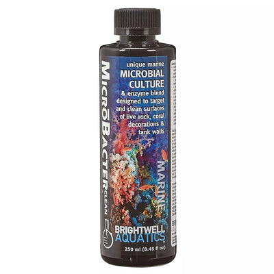 Brightwell Aquatics MicroBacter CLEAN – Microbial Surface Cleaner – 250 ml