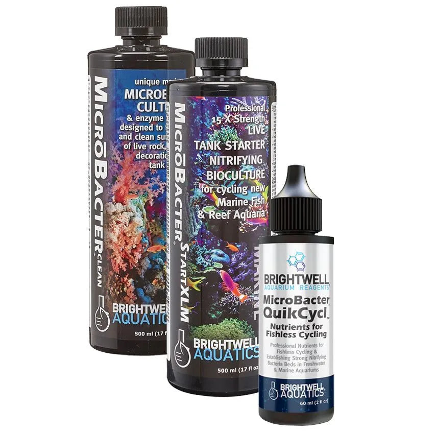 Brightwell Aquatics MicroBacter Dry Rock Bacteria Starter Kit – QuikCycl + Start XLM + Clean – Up to 100 gal