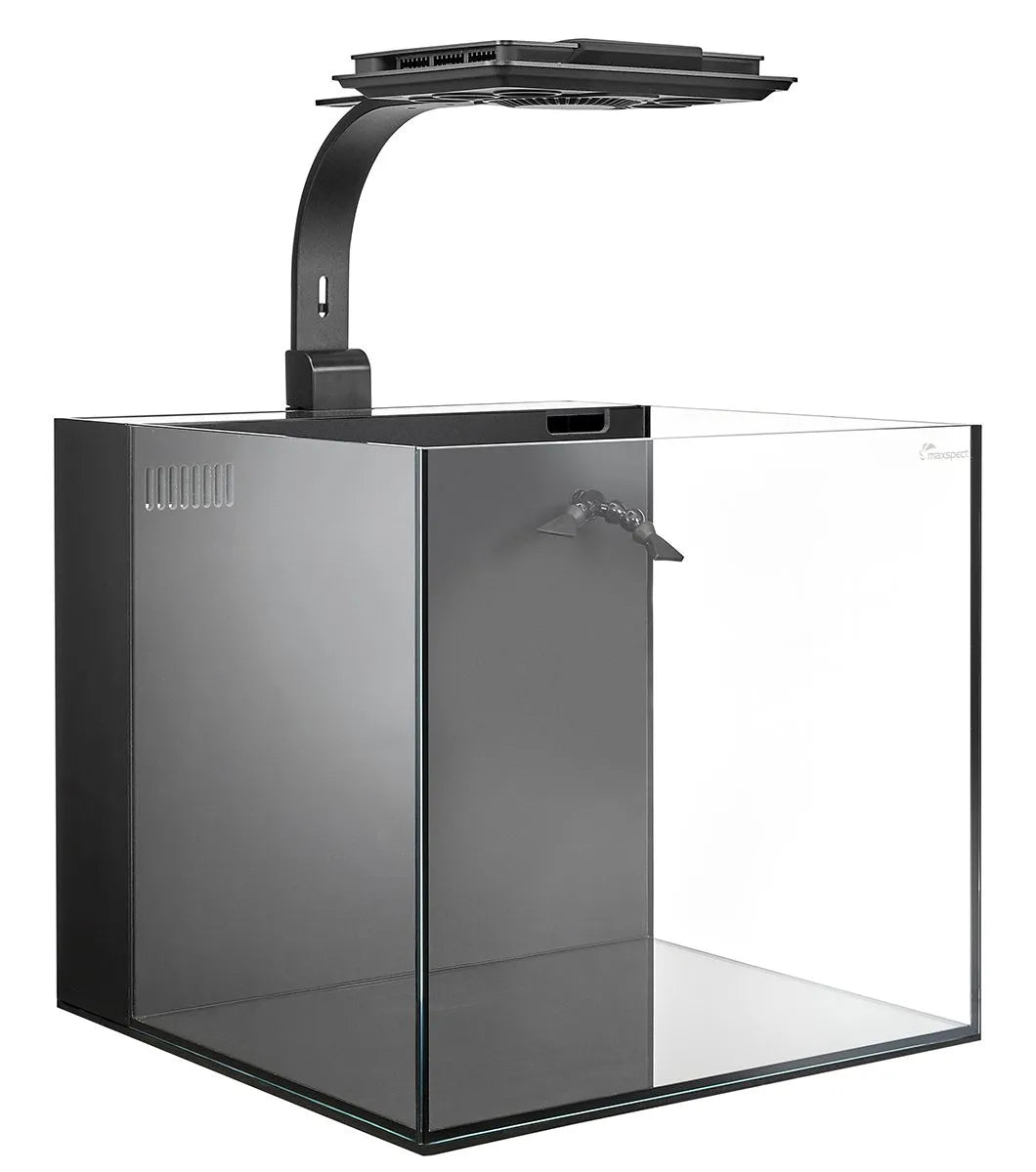 Maxspect Dice AIO 12 Gallon Nano Cube Aquarium w/ MJ-L165 LED