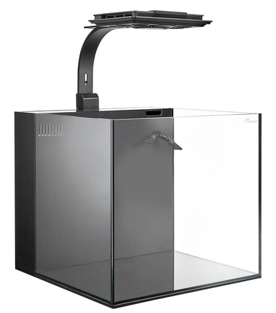 Maxspect Dice AIO 12 Gallon Nano Cube Aquarium w/ MJ-L165 LED